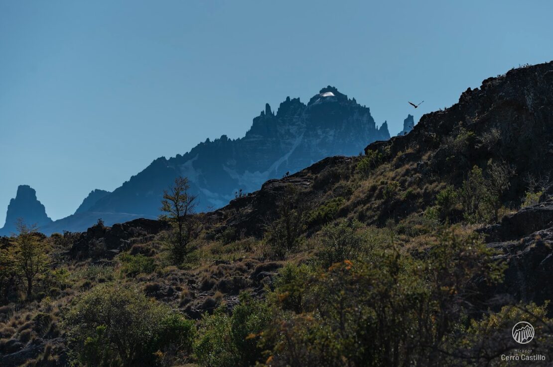 Praderas soleadas con exposición natural para energía solar en Mirador Cerro Castillo