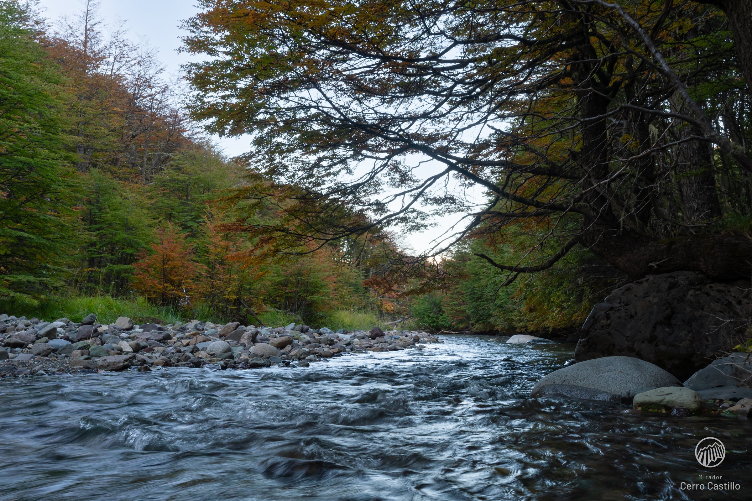 Río cristalino rodeado de árboles de lenga y ñire
